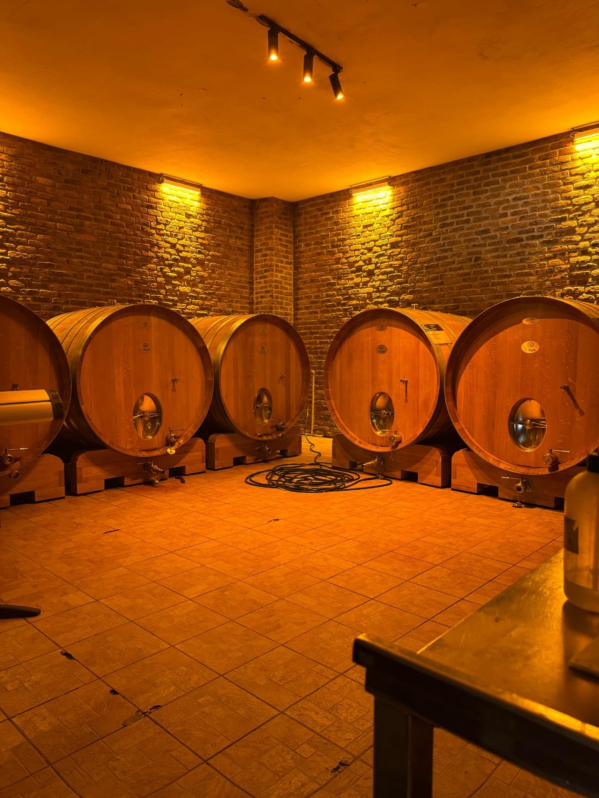 Antalya : Ancient Arykanda & Wine Tasting Experience