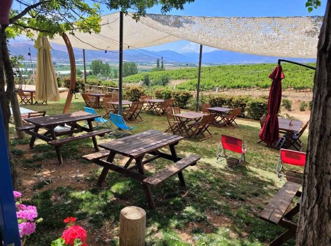 Antalya : Ancient Arykanda & Wine Tasting Experience